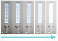 Профессиональный светодиодный светильник на струбцине Diasonic DL-100PH (белый)_ от компании "Кореал - Настоящая Корея"