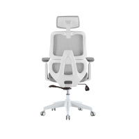 Стул ортопедический бело-серый D400 A D4HW66A от компании "Кореал - Настоящая Корея"